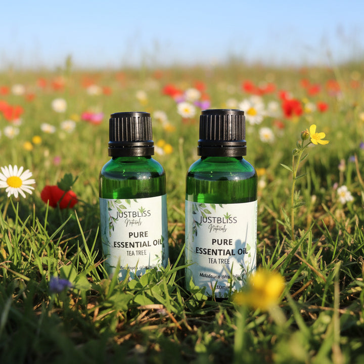 Organic Tea Tree Essential Oil – Pure, Antimicrobial &amp; Eco-Friendly Care - JUSTBLiSS Naturals