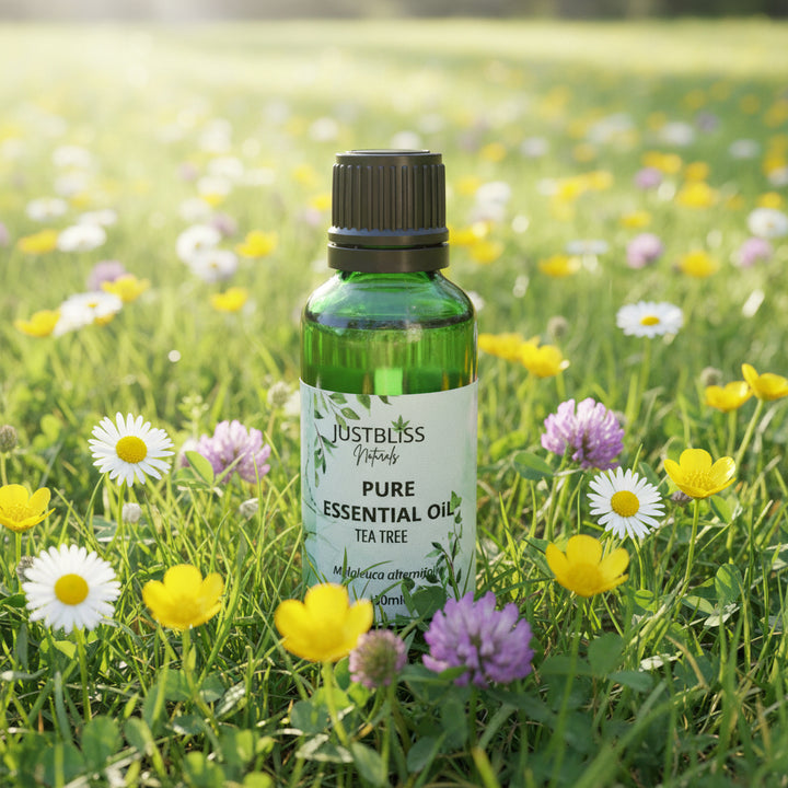 Organic Tea Tree Essential Oil – Pure, Antimicrobial &amp; Eco-Friendly Care - JUSTBLiSS Naturals