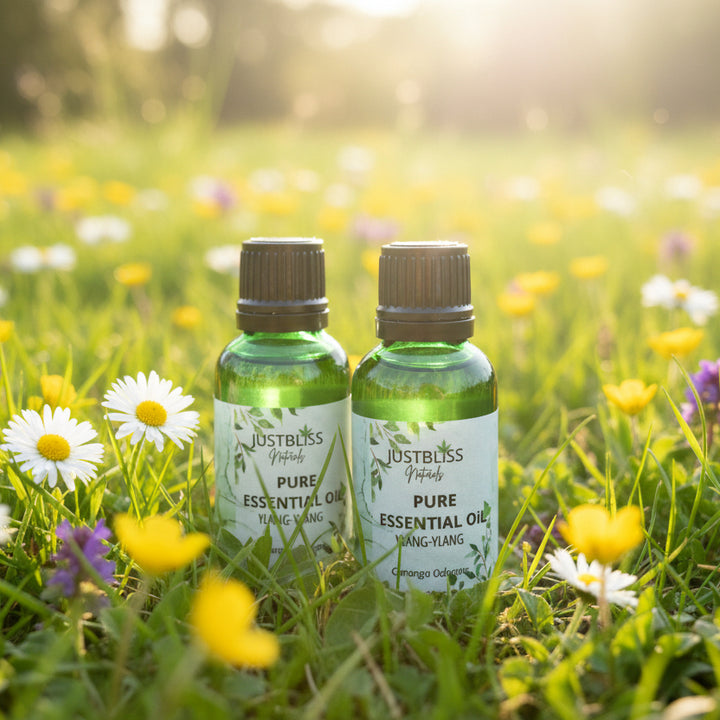 Organic Ylang-Ylang Essential Oil – Pure, Calming Floral Wellness - JUSTBLiSS Naturals