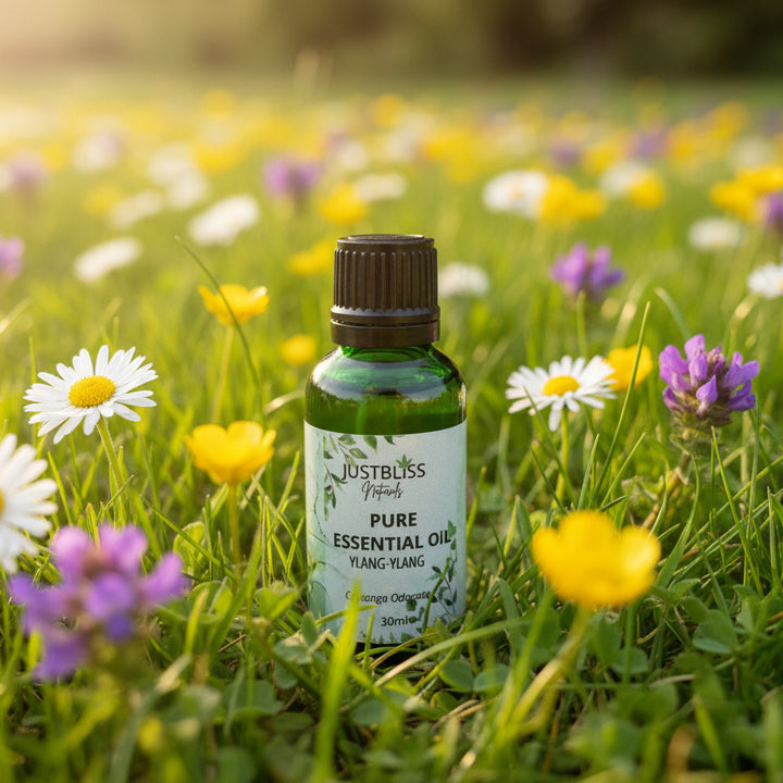Organic Ylang-Ylang Essential Oil – Pure, Calming Floral Wellness - JUSTBLiSS Naturals