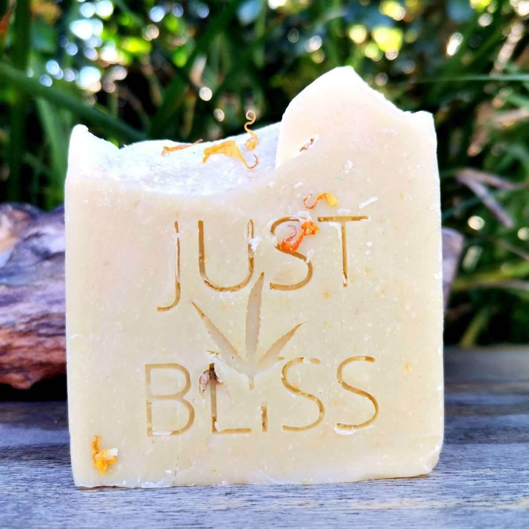 Prickly Pear Natural Soap Bar – Vegan, Detoxifying, Handcrafted Cleanse - JUSTBLiSS Naturals