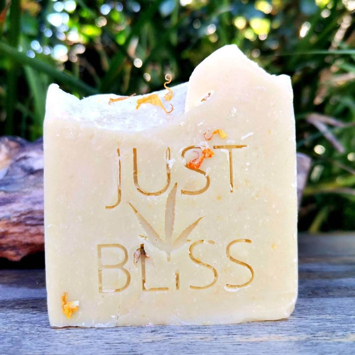 Prickly Pear Natural Soap Bar – Vegan, Detoxifying, Handcrafted Cleanse - JUSTBLiSS Naturals