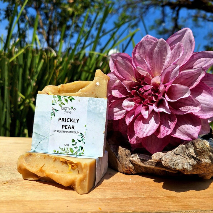 Prickly Pear Natural Soap Bar – Vegan, Detoxifying, Handcrafted Cleanse - JUSTBLiSS Naturals