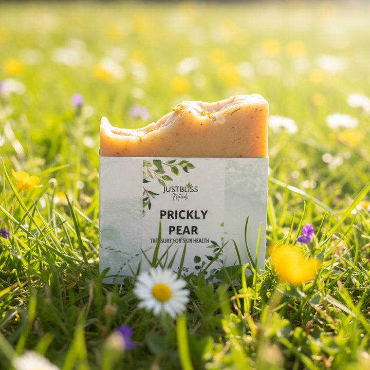 Prickly Pear Natural Soap Bar – Vegan, Detoxifying, Handcrafted Cleanse - JUSTBLiSS Naturals