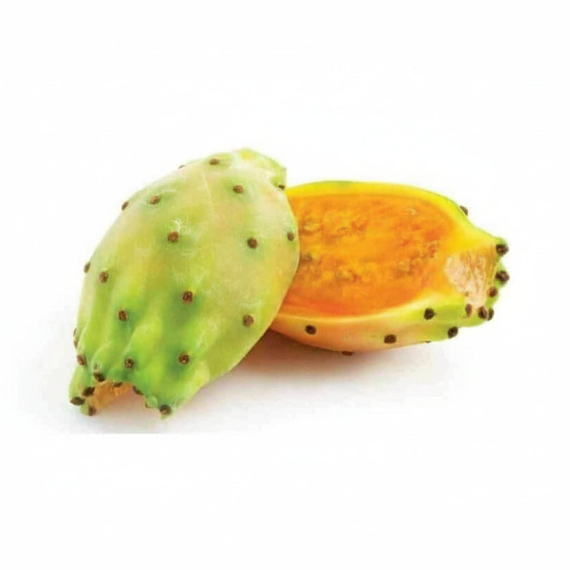 Prickly Pear Seed Oil 30ml – Pure, Organic Hydration for Sensitive Skin - JUSTBLiSS Naturals