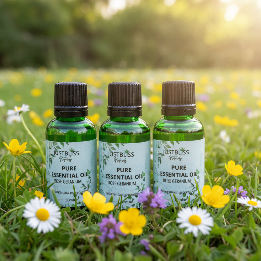 Rose Geranium Essential Oil – Pure, Balancing Floral Aroma - JUSTBLiSS Naturals