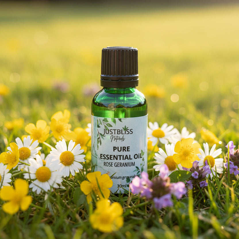 Rose Geranium Essential Oil – Pure, Balancing Floral Aroma - JUSTBLiSS Naturals