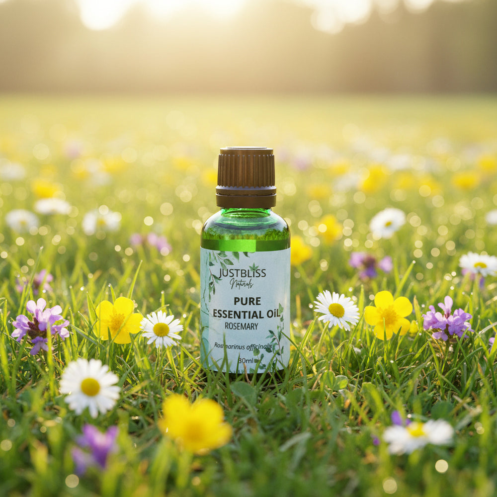 Rosemary Essential Oil – Pure, Plant-Based Clarity & Wellness - JUSTBLiSS Naturals