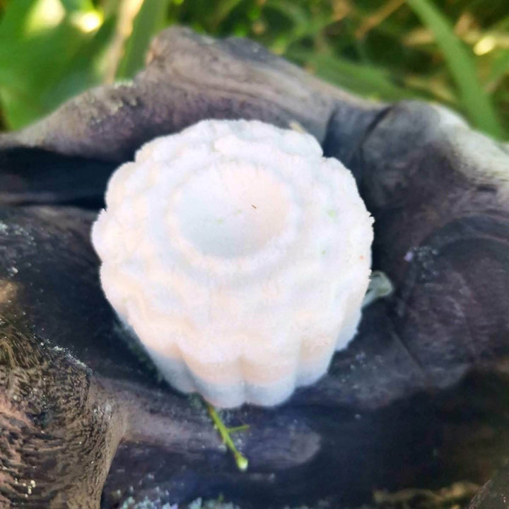 Shower Steamers – Natural Aromatherapy Spa Set (Multiple Scents) - JUSTBLiSS Naturals