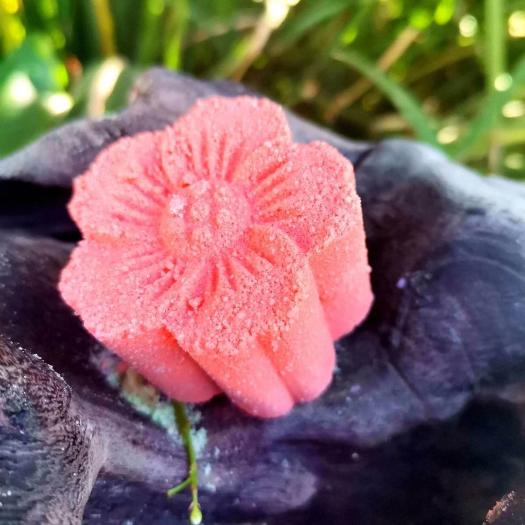 Shower Steamers – Natural Aromatherapy Spa Set (Multiple Scents) - JUSTBLiSS Naturals