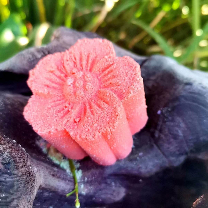 Shower Steamers – Natural Aromatherapy Spa Set (Multiple Scents) - JUSTBLiSS Naturals