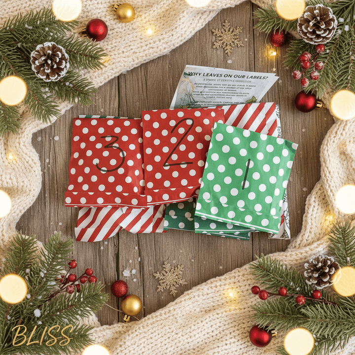 Advent Calendar Gift Box – 25 Days of Natural Bath & Wellness JUSTBLiSS Naturals