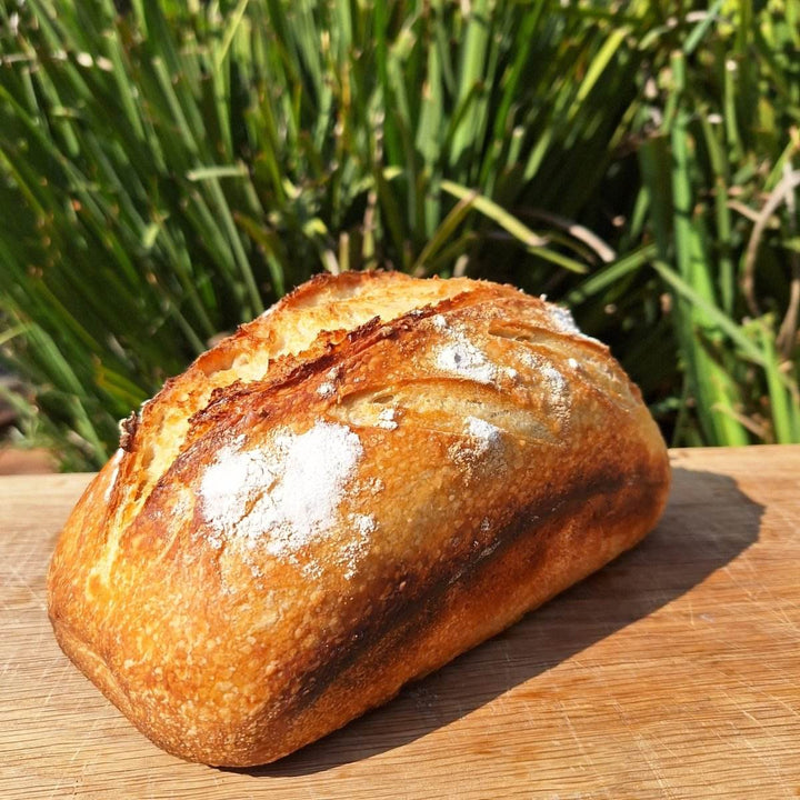 Artisan Sourdough Bread – Freshly Baked, All-Natural Loaf | JUSTBLiSS - JUSTBLiSS Naturals