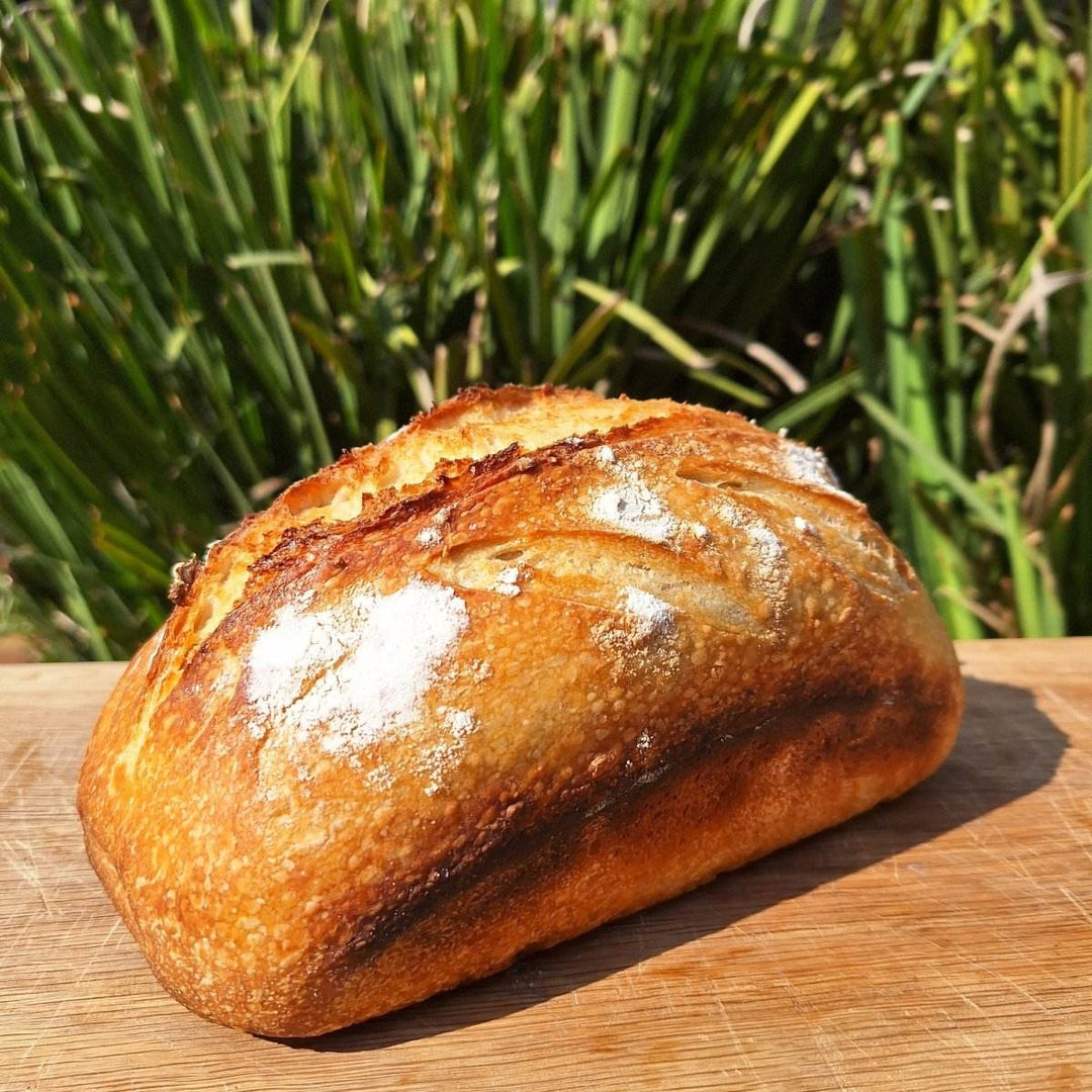 Artisan Sourdough Bread – Freshly Baked, All-Natural Loaf | JUSTBLiSS - JUSTBLiSS Naturals