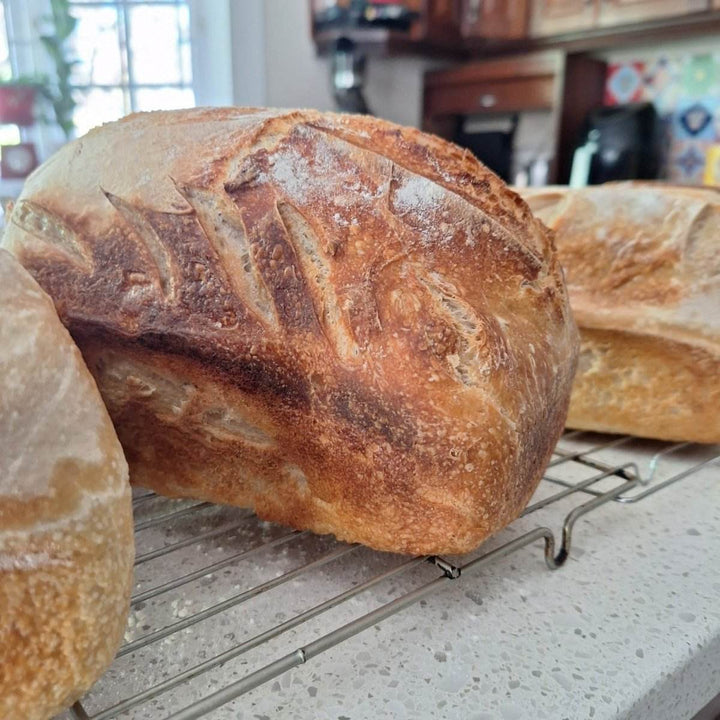 Artisan Sourdough Bread – Freshly Baked, All-Natural Loaf | JUSTBLiSS - JUSTBLiSS Naturals