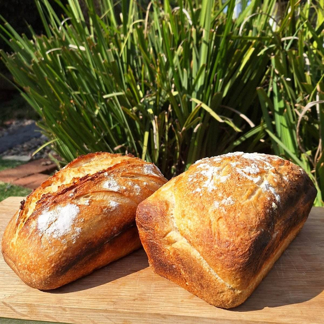 Artisan Sourdough Bread – Freshly Baked, All-Natural Loaf | JUSTBLiSS - JUSTBLiSS Naturals