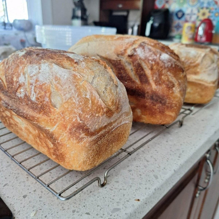 Artisan Sourdough Bread – Freshly Baked, All-Natural Loaf | JUSTBLiSS - JUSTBLiSS Naturals