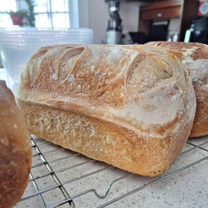 Artisan Sourdough Bread – Freshly Baked, All-Natural Loaf | JUSTBLiSS - JUSTBLiSS Naturals