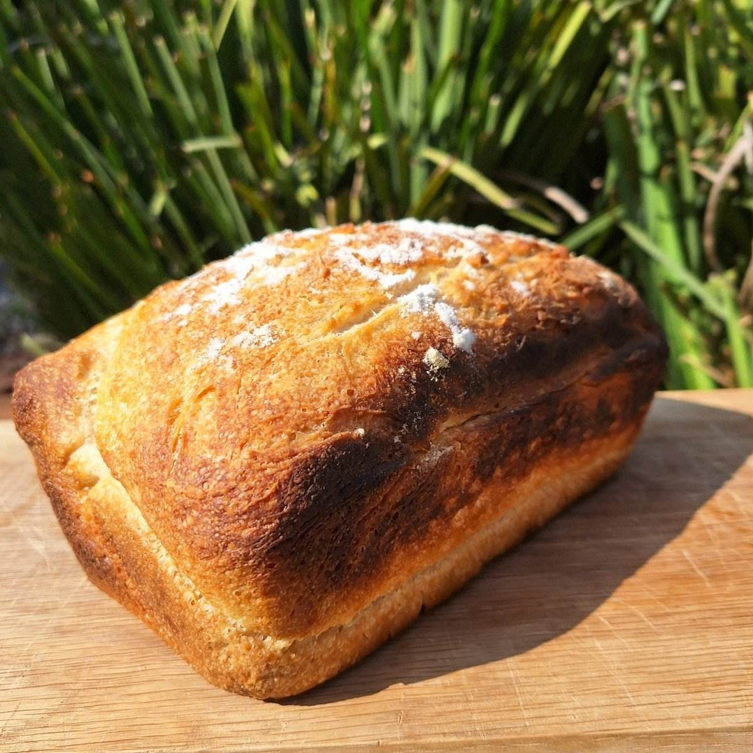 Artisan Sourdough Bread – Freshly Baked, All-Natural Loaf | JUSTBLiSS - JUSTBLiSS Naturals