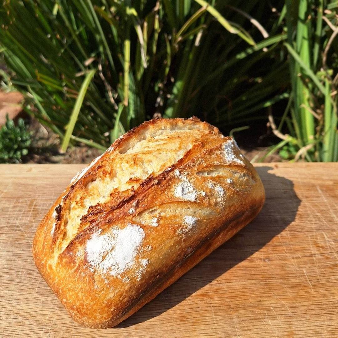 Artisan Sourdough Bread – Freshly Baked, All-Natural Loaf | JUSTBLiSS - JUSTBLiSS Naturals