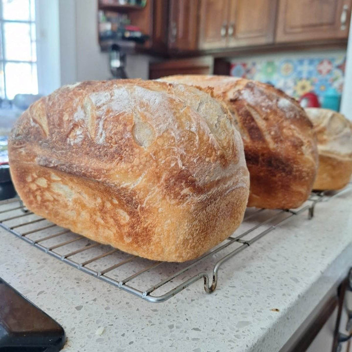 Artisan Sourdough Bread – Freshly Baked, All-Natural Loaf | JUSTBLiSS - JUSTBLiSS Naturals