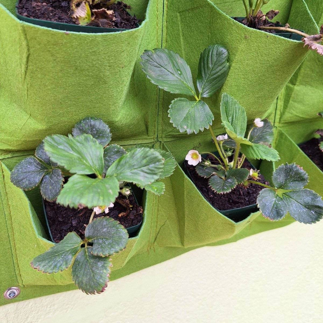 Living Wall Planter – Eco-Friendly Vertical Garden for 36 Plants - JUSTBLiSS Naturals