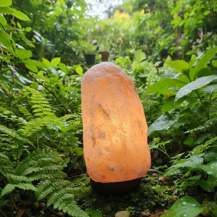 HEALTH: Himalayan Salt Lamp JUSTBLiSS Naturals
