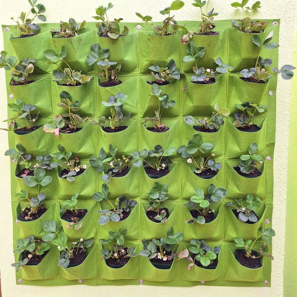 Living wall planter with 36 plant pockets, ideal for home or office decor.