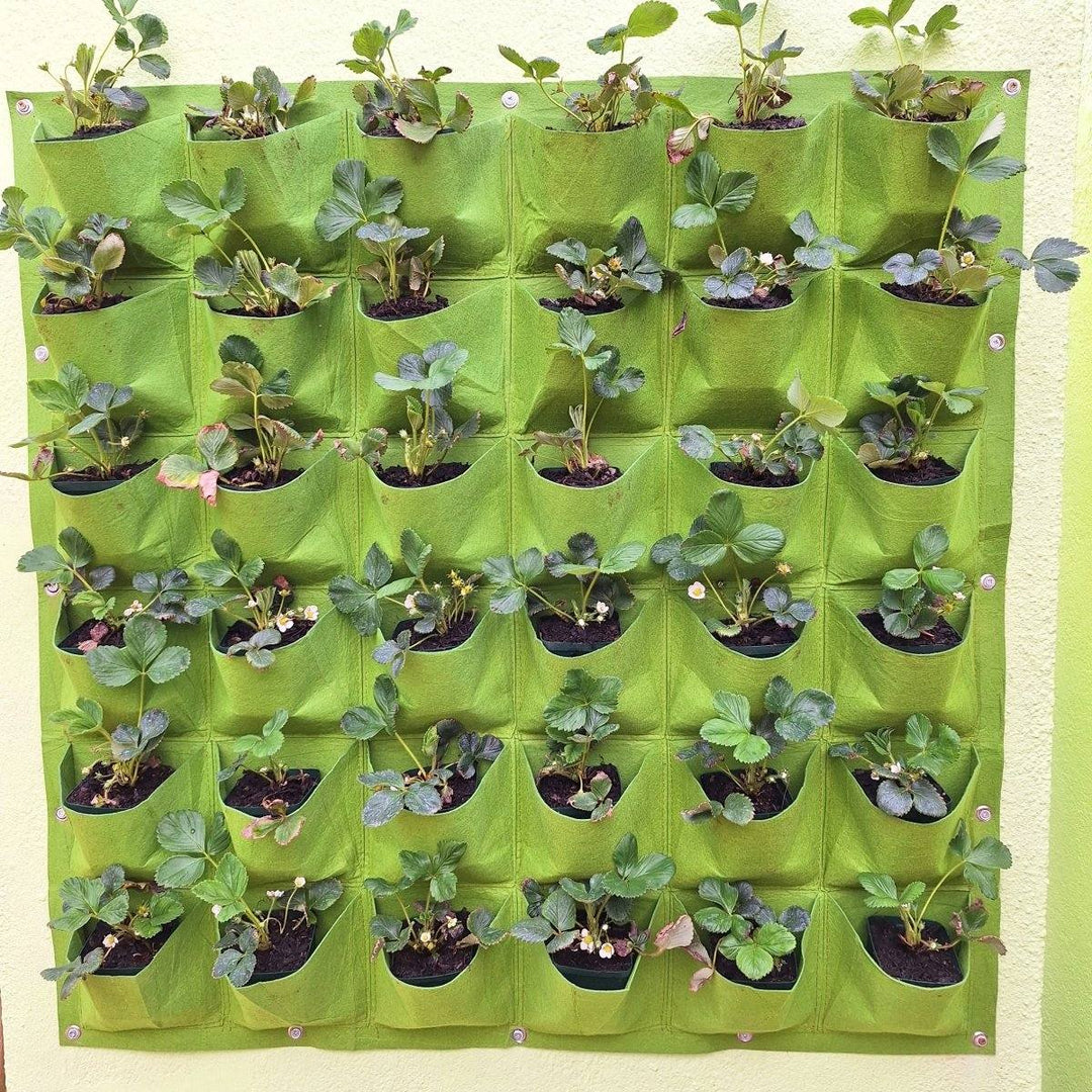 Living wall planter with 36 plant pockets, ideal for home or office decor.
