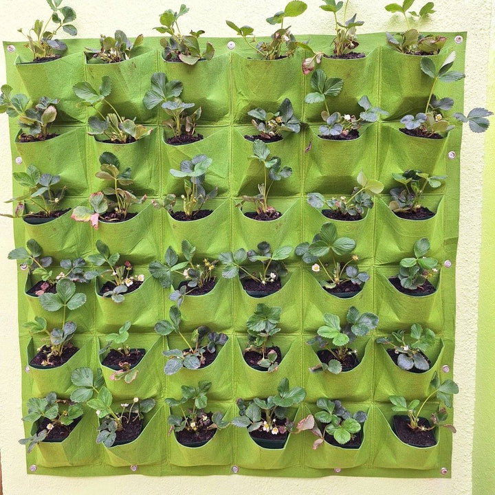 Living wall planter with 36 plant pockets, ideal for home or office decor.