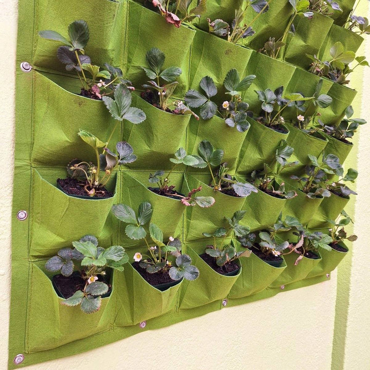 Living wall planter with 36 plant pockets for home or office.