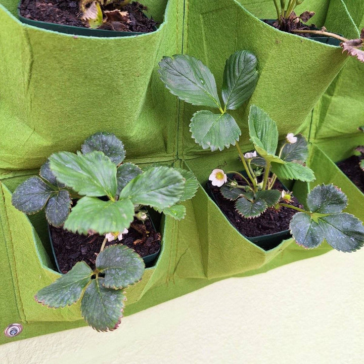 Living wall planter with lush green plants, enhancing air quality and aesthetics.