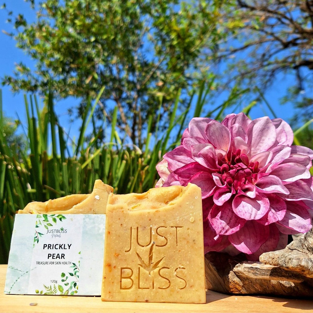 Prickly Pear Natural Soap Bar – Vegan, Detoxifying & Handcrafted JUSTBLiSS Naturals