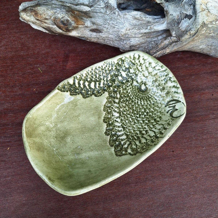 SOAP DISHES - Ceramic (Big) - JUSTBLiSS Naturals