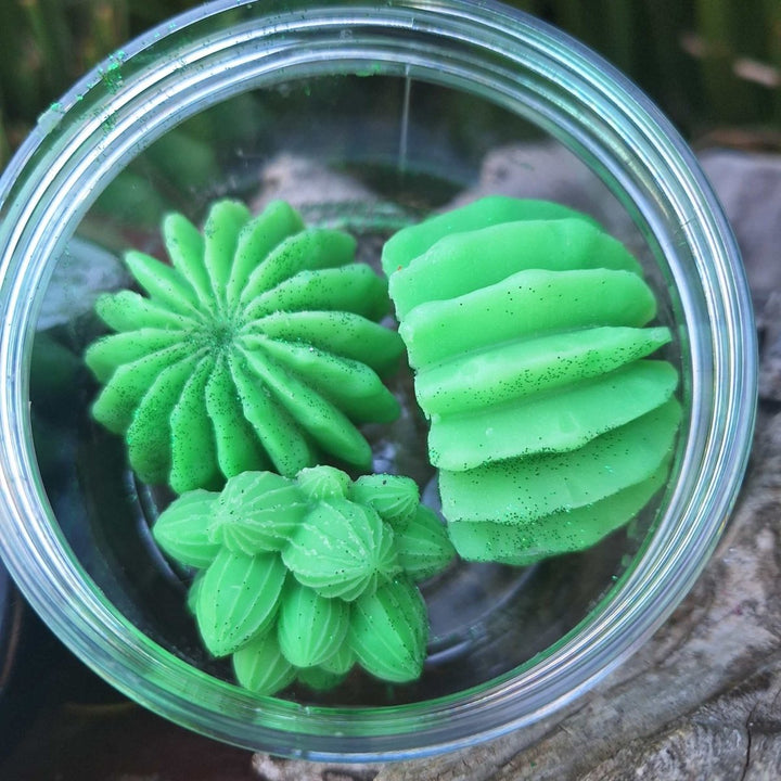 SOAPs IN A JAR: (Glycerine) Soaps for Every Occasion - JUSTBLiSS Naturals