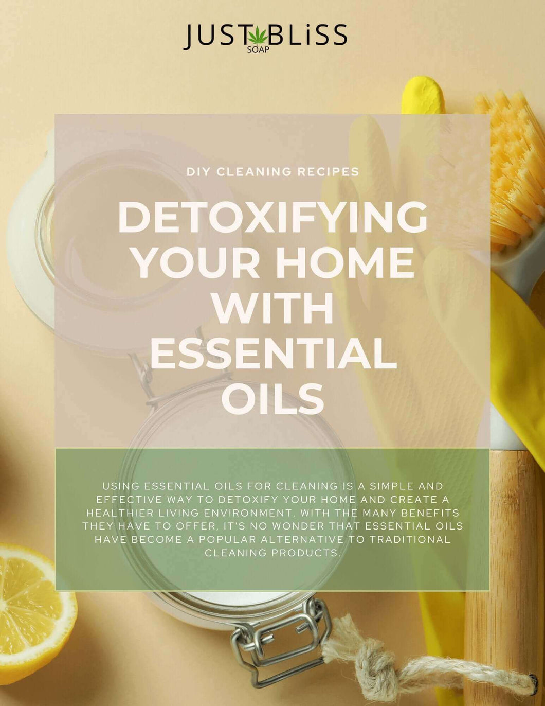 DIGITAL DOWNLOADS: Detoxifying Your Home With Essential Oils E-Book