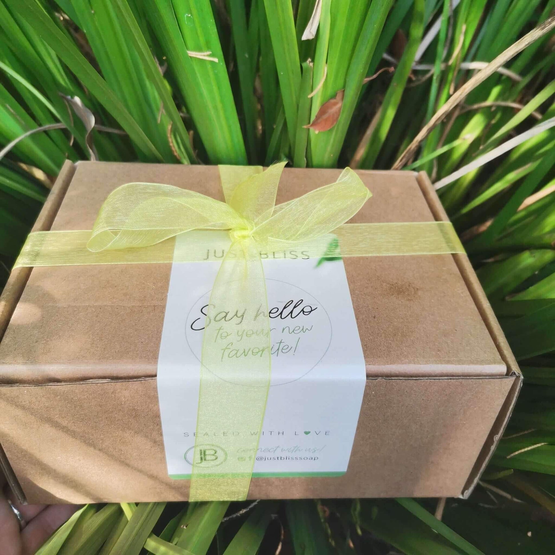 JUSTBLISS: GIFT BOX: rosemary and mint (box2)