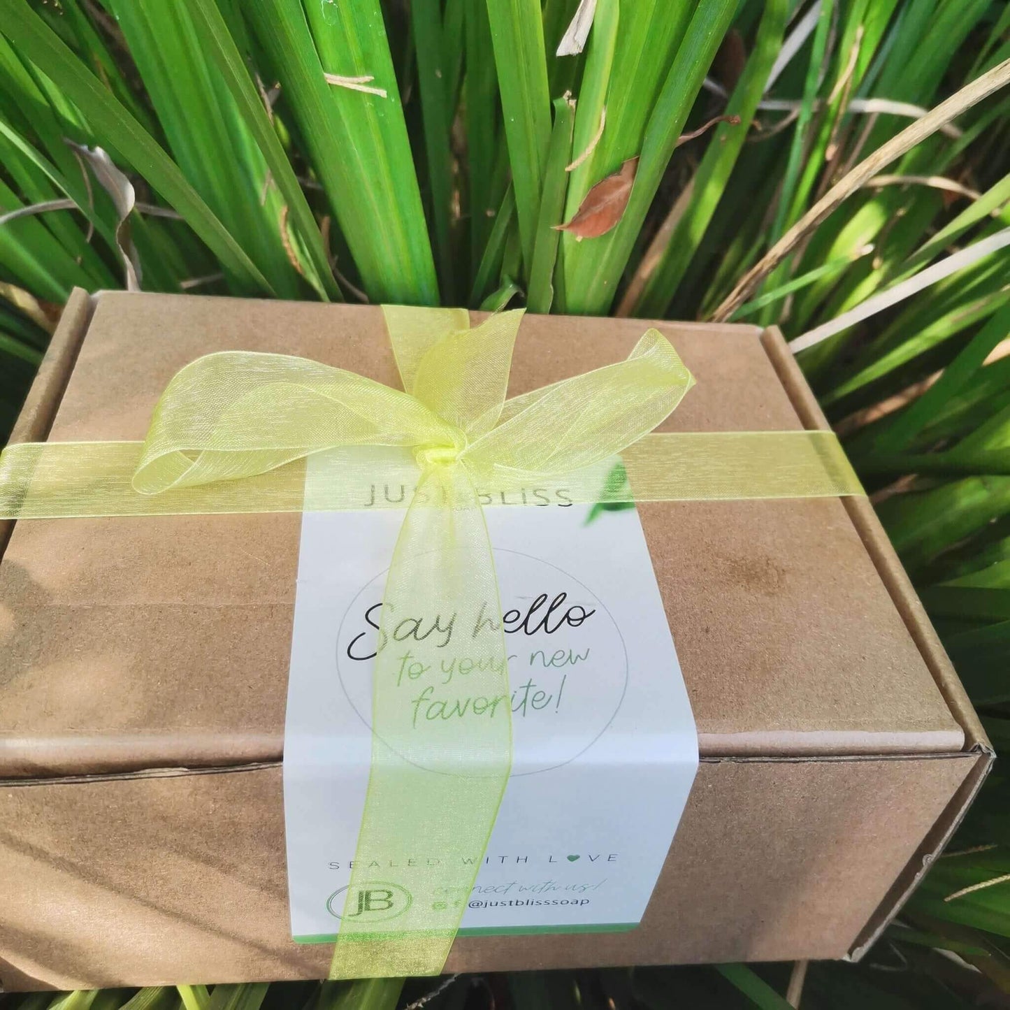 JUSTBLISS: GIFT BOX: rosemary and mint (box1)