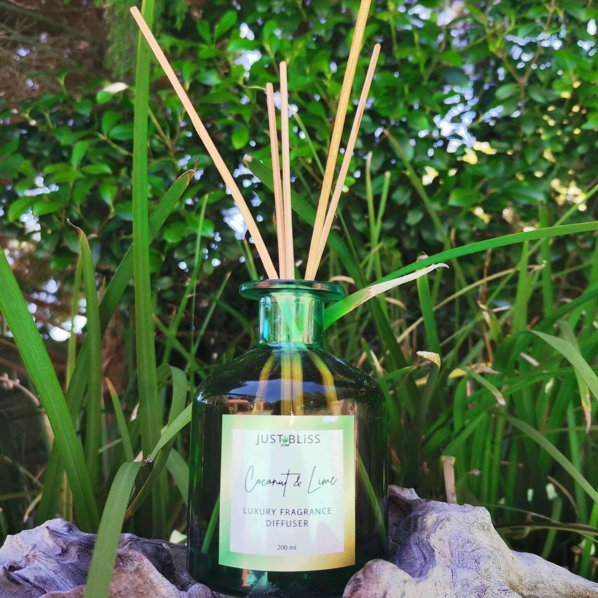 JUSTBLISS: REED DIFFUSER: coconut and lime