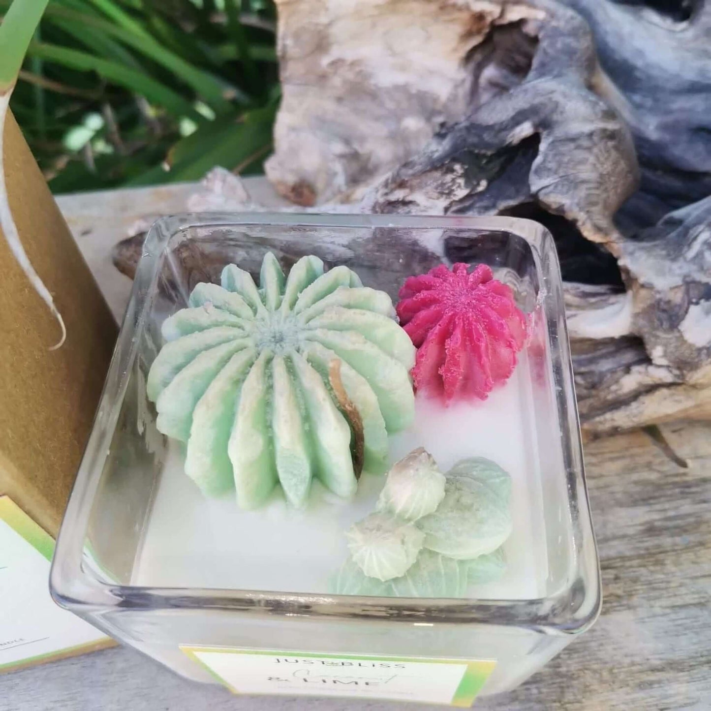 JUSTBLISS: cactus flower candle: coconut and lime (200g)