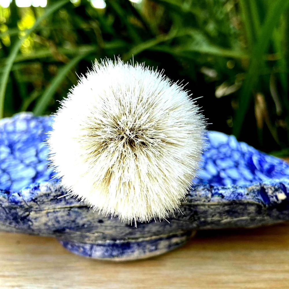 Shaving brush with soft bristles in a decorative blue bowl.