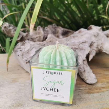 JUSTBLISS: cactus flower candle: sugar lychee (75g)